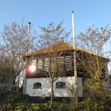 Boerenhofstede De Overhorn Весп Екстер'єр фото